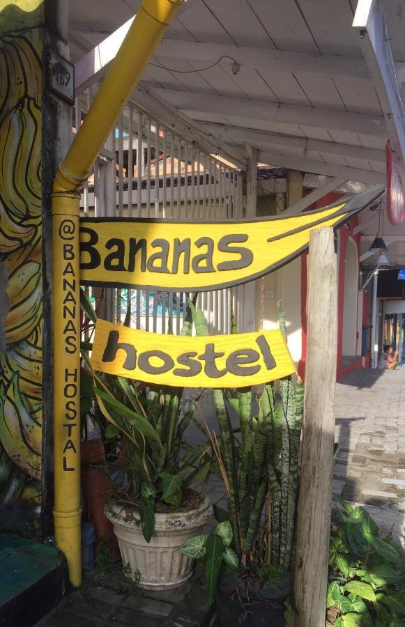 Bananas Hostel 이타카레 외부 사진